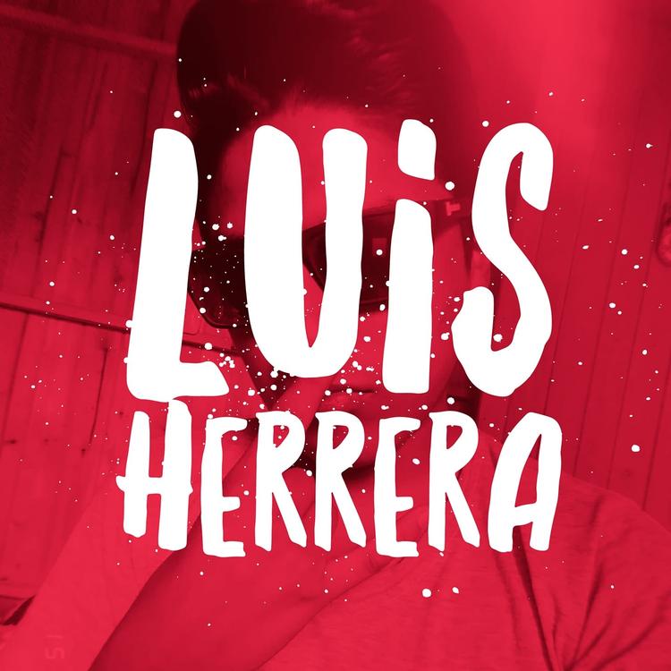 Luis Herrera's avatar image
