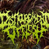 Disfigurement Of Flesh's avatar cover