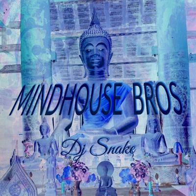 Mindhouse Bros's cover