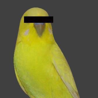 Bird's avatar image