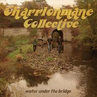 Charrlonmane Collective's avatar cover