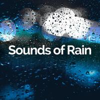 Sounds of Rain's avatar cover