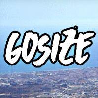 Gosize's avatar image