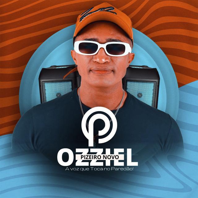 Ozziel Piseiro Novo's avatar image