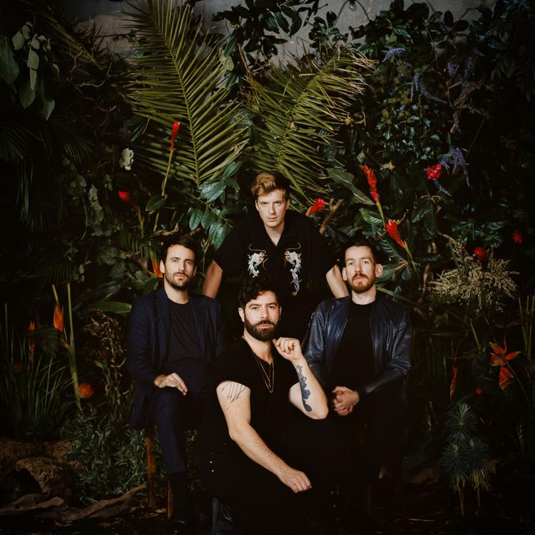 Foals's avatar image