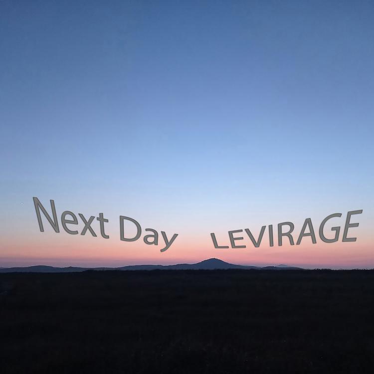 Levirage's avatar image