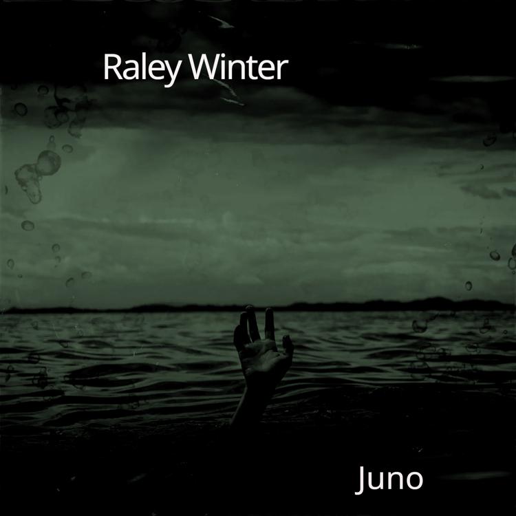 Raley Winter's avatar image