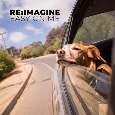 Easy On Me (Acoustic Piano Version)'s cover