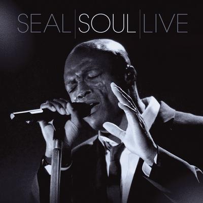 It's a Man's Man's Man's World (Live) By Seal's cover
