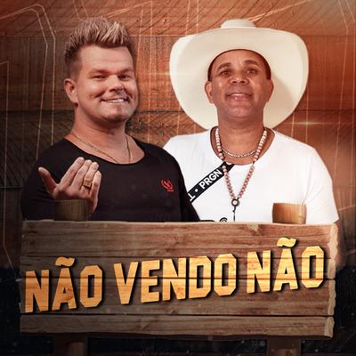 Não Vendo Não By Alemão Do Forró, Soró Silva's cover