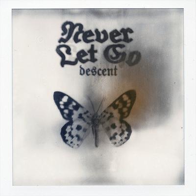 Never Let Go By Descent's cover