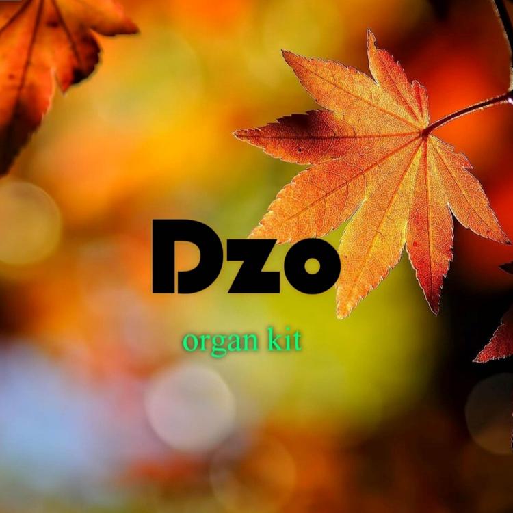 Dzo's avatar image