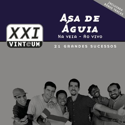 Na Veia Ao Vivo - 21 Grandes Sucessos's cover