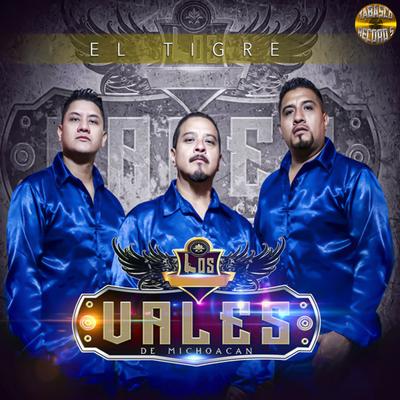 Los Vales De Michoacan's cover