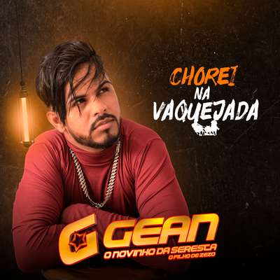 Chorei Na Vaquejada's cover