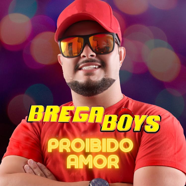 BREGA BOYS's avatar image