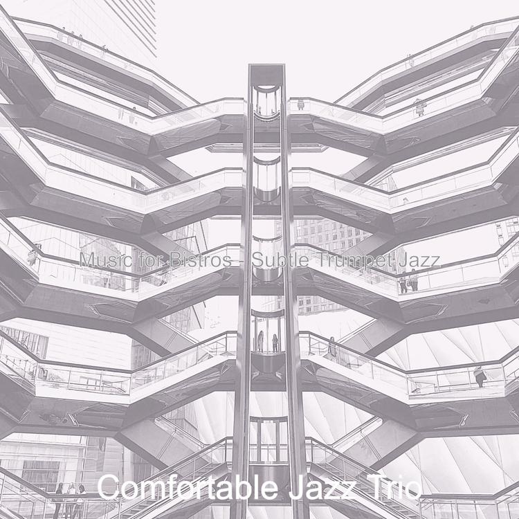 Comfortable Jazz Trio's avatar image