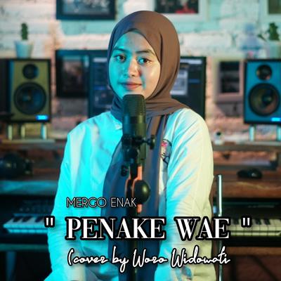 Penake Wae's cover