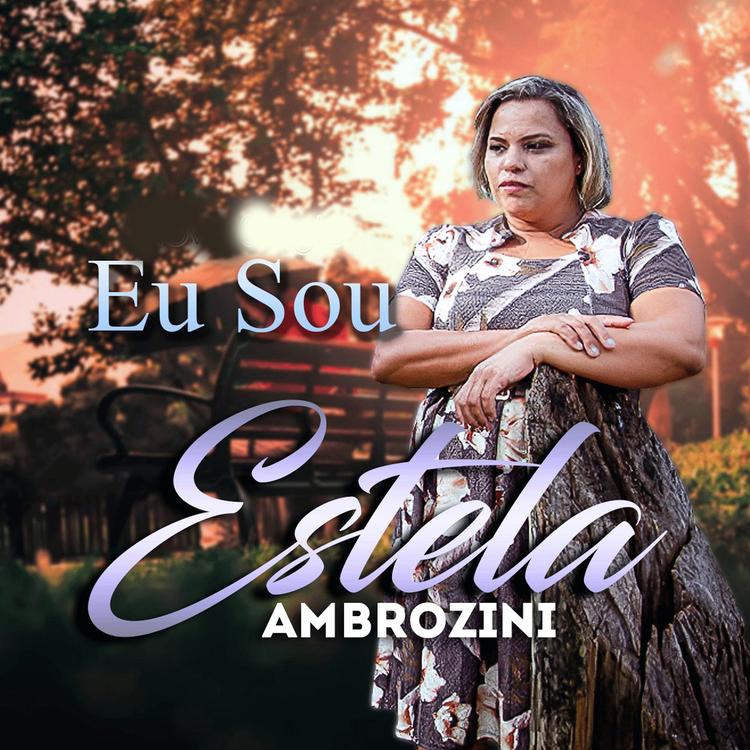 Estela Ambrozini Oficial's avatar image