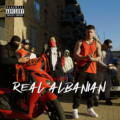 Real Albanian By Vision's cover