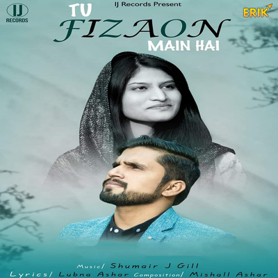 Tu Fizaon Main Hai's cover