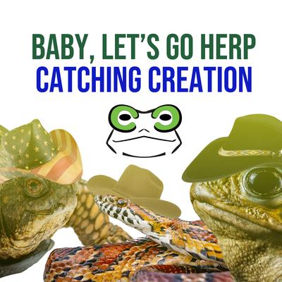 Catching Creation's cover