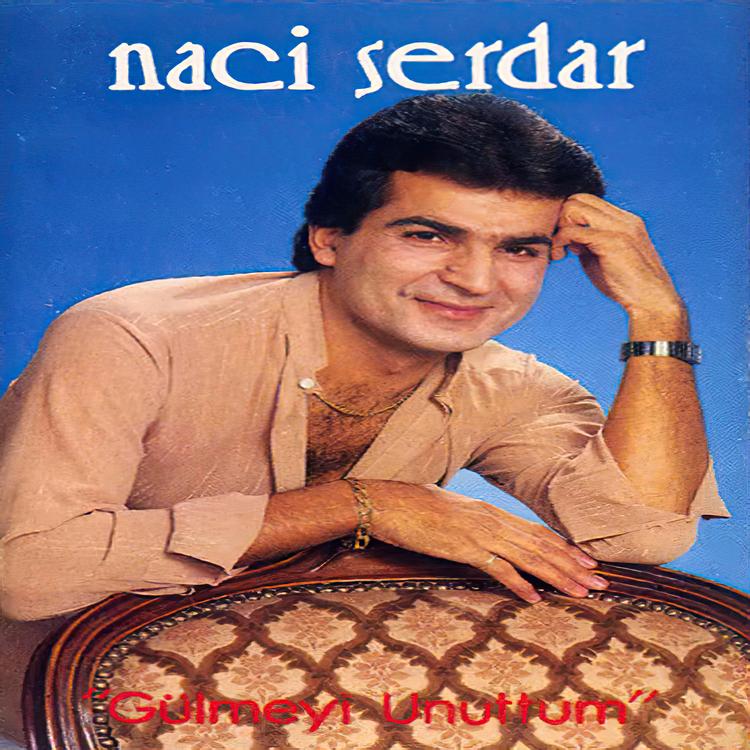 Naci Serdar's avatar image