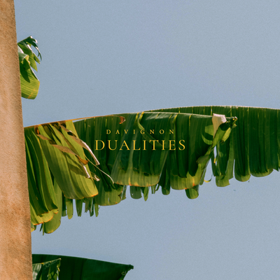 Dualities By Davignon's cover