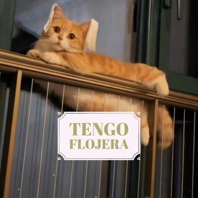 Tengo Flojera By Kratos el Gato's cover