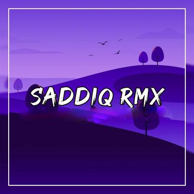 DJ Melodi Gitar Selembut Salju x Be With You By Saddiq RMX's cover