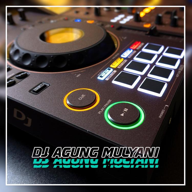 DJ AGUNG MULYANI's avatar image