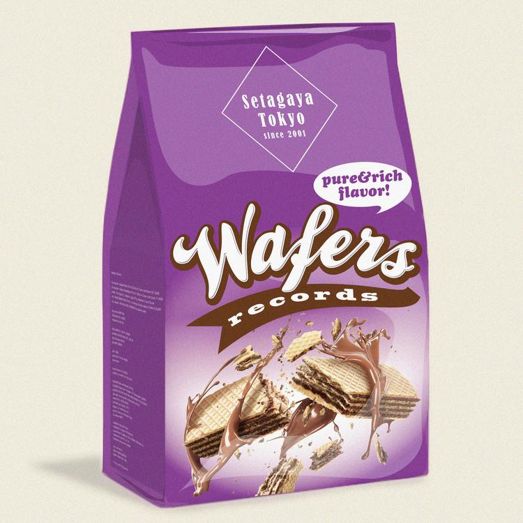 WAFERS records's avatar image