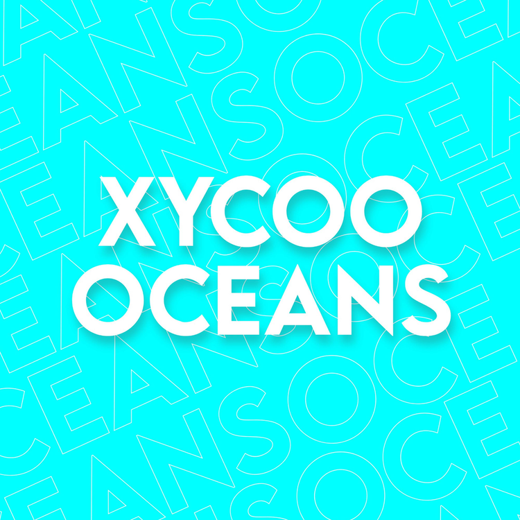 Xycooo's avatar image