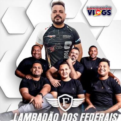 Estamos Separados By Lambadão dos Federais's cover