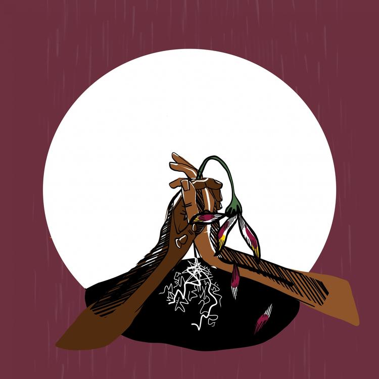 Zoka the Author's avatar image