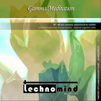 30 - 40 Hz Gamma Meditation By Technomind's cover