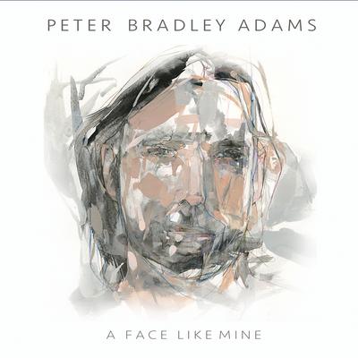 A Face Like Mine's cover