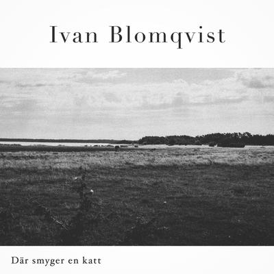 Där smyger en katt By Ivan Blomqvist's cover