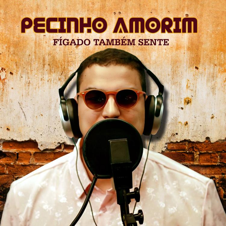 Pecinho Amorim's avatar image