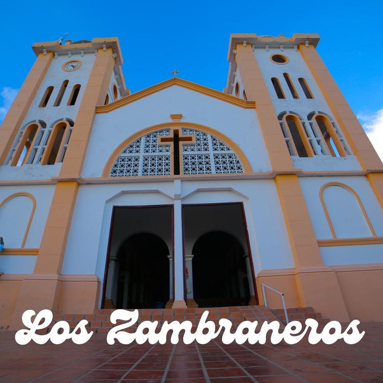 Los Zambraneros's avatar image