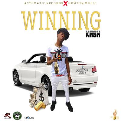 Winning By Kash Promise Move's cover