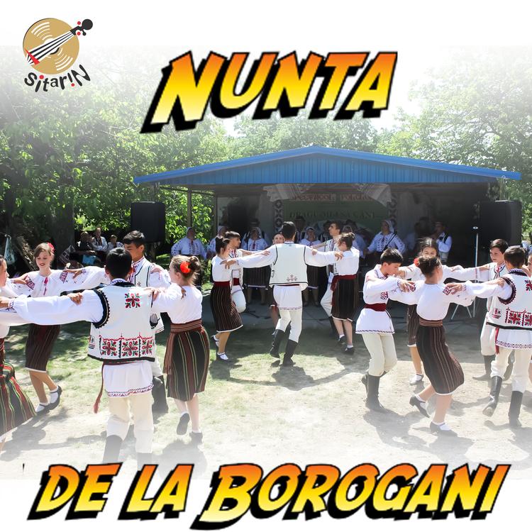 Formația Nunta de la Borogani's avatar image