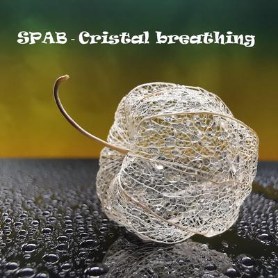 SPAB's cover