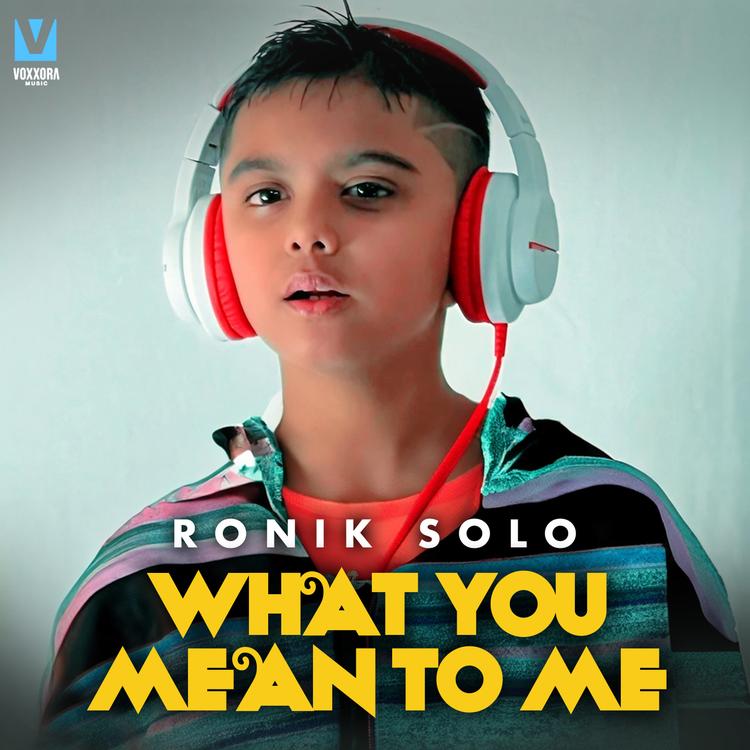 Ronik Solo's avatar image