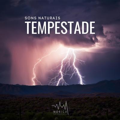 Sons Naturais: Tempestade, Pt. 16's cover