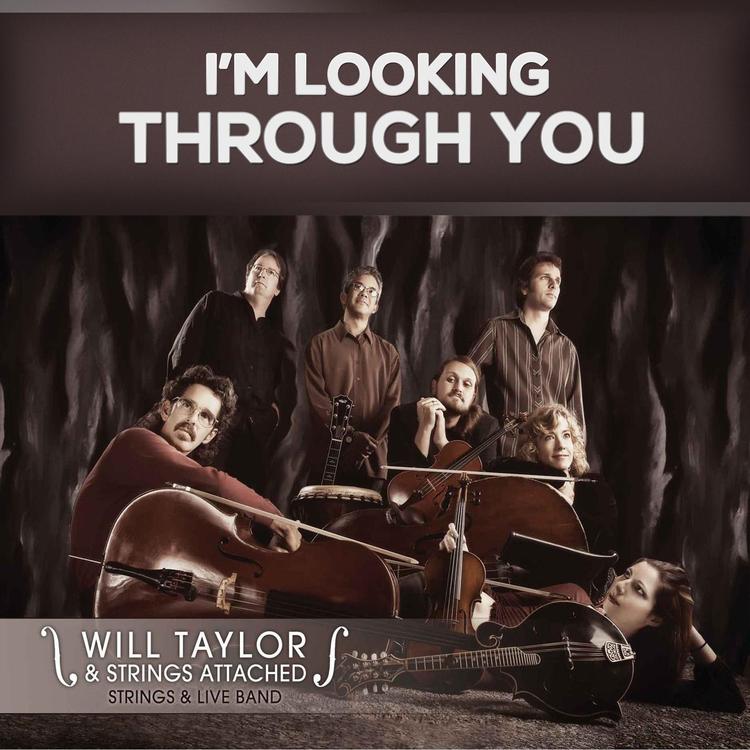 I'm Looking Through You Acoustic's avatar image