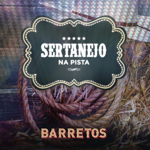 sertanejo pra dancar's cover