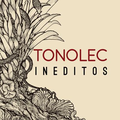 Taki Ongoy II By Tonolec, Victor Heredia's cover