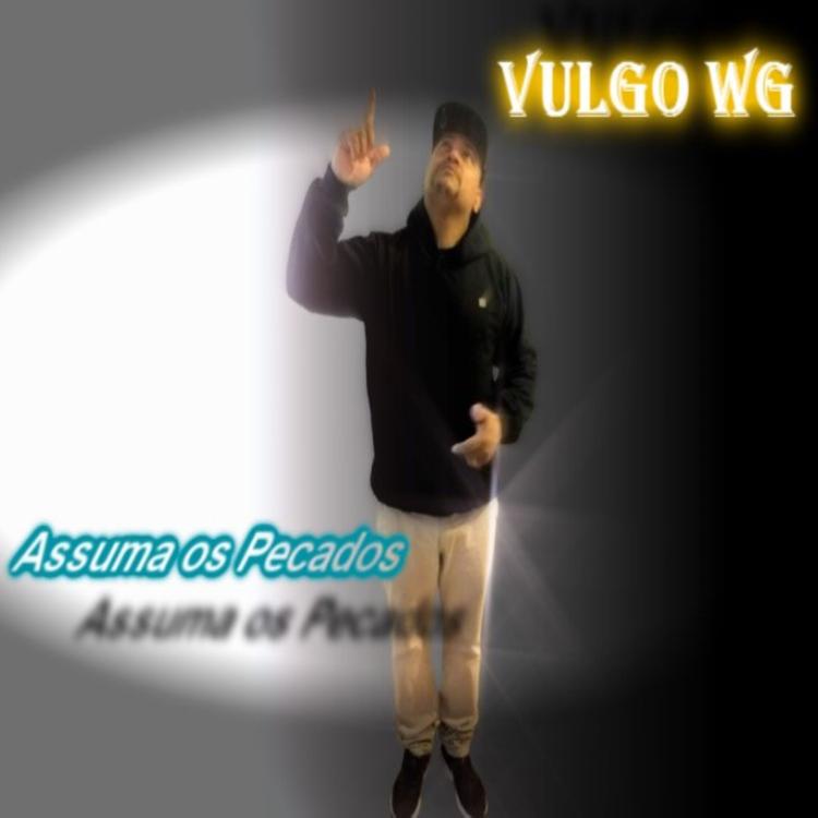 Vulgo WG's avatar image