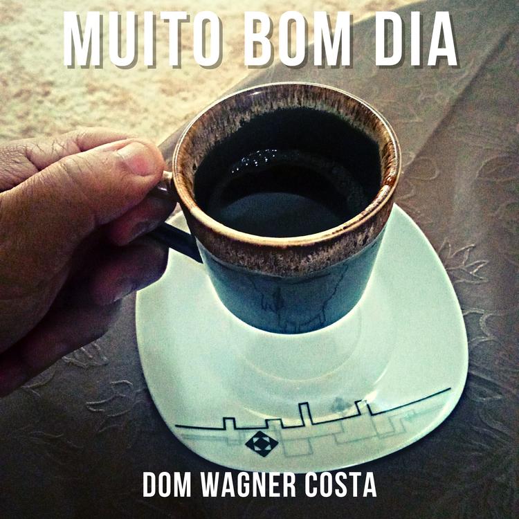 Dom Wagner Costa's avatar image